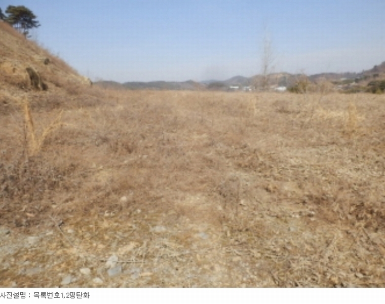 2022타경31152 경상남도 사천시 곤양면 검정리 산56-1 임야 경매 이미지