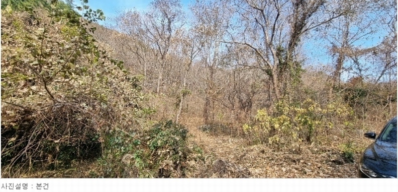 2023타경6337 경상남도 남해군 남면 당항리 산53 임야 경매 이미지