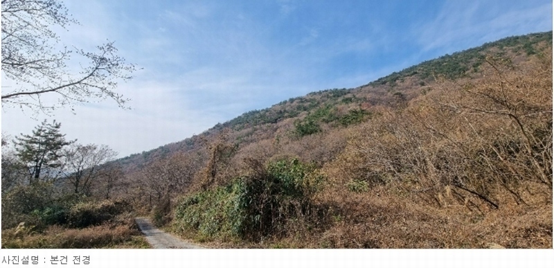 2023타경6337 경상남도 남해군 남면 당항리 산53 임야 경매 이미지