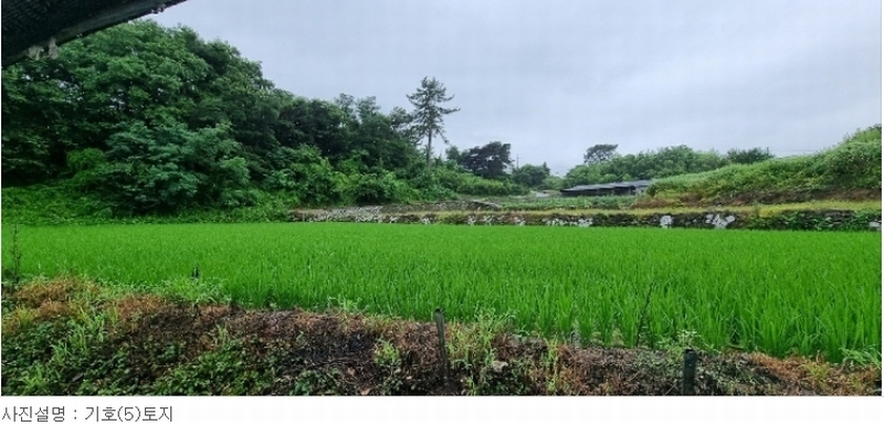 2023타경33896 경상남도 남해군 설천면 비란리 100 농지 경매 이미지