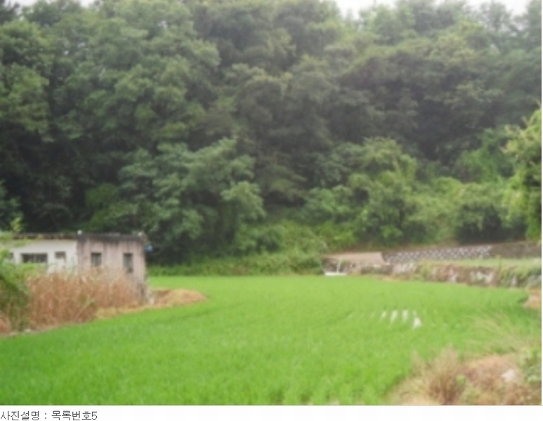 2023타경33896 경상남도 남해군 설천면 비란리 100 농지 경매 이미지