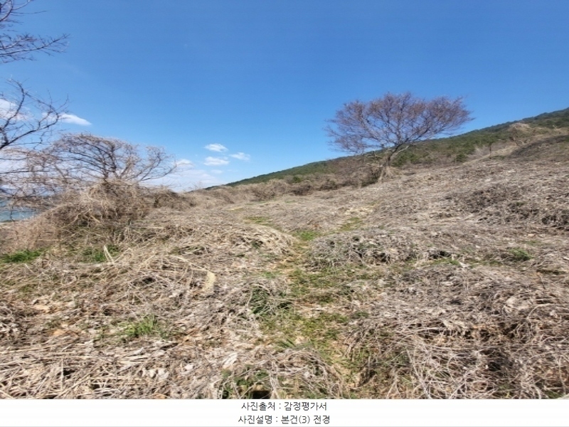 2024타경1599 경상남도 남해군 남면 선구리 산105-1 임야 경매 이미지