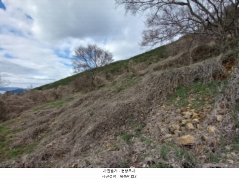 2024타경1599 경상남도 남해군 남면 선구리 산105-1 임야 경매 이미지
