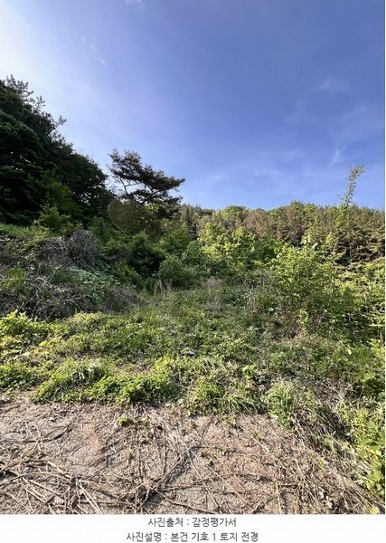 2024타경2257 경상남도 진주시 명석면 용산리 산49 임야 경매 이미지