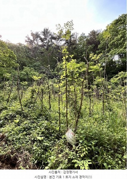 2024타경2257 경상남도 진주시 명석면 용산리 산49 임야 경매 이미지