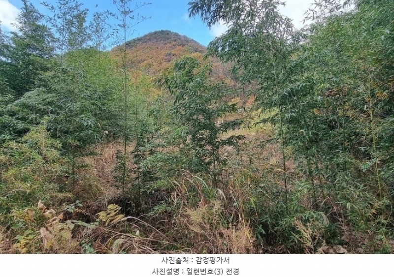 2024타경5942 경상남도 하동군 고전면 성천리 836-1 농지 경매 이미지