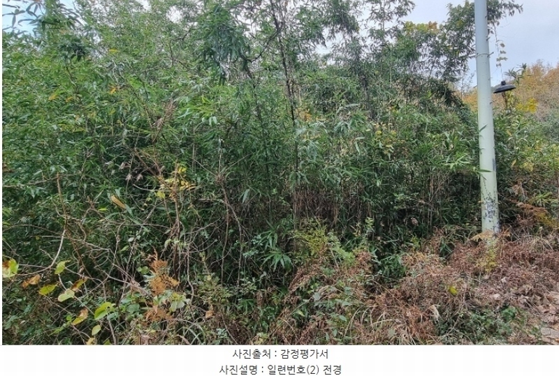 2024타경5942 경상남도 하동군 고전면 성천리 836-1 농지 경매 이미지