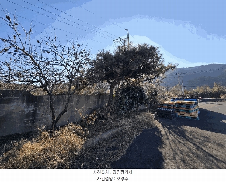2024타경6419 경상남도 사천시 죽림동 938-1 공장 경매 이미지