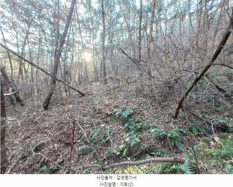 2024타경6648 경상남도 진주시 문산읍 상문리 산511 임야 경매 이미지