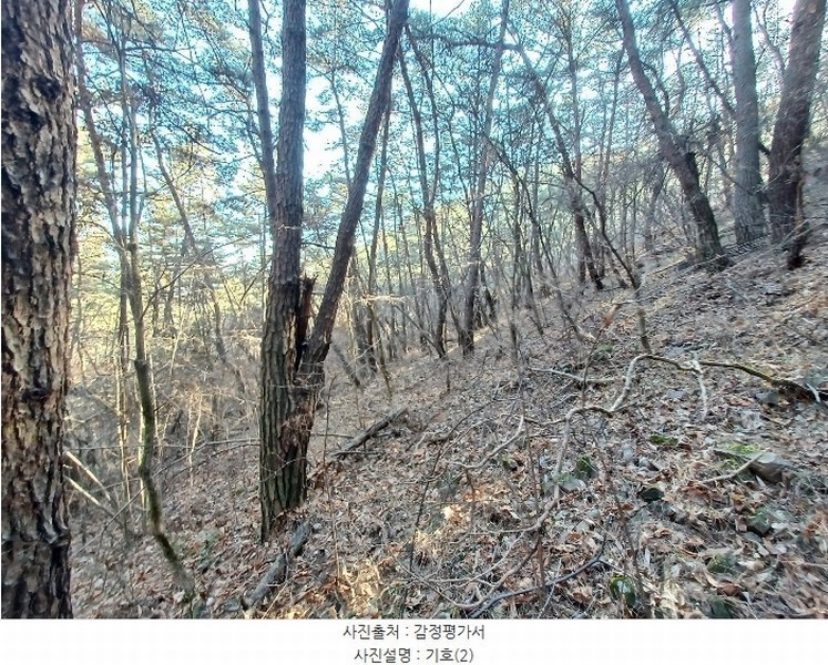 2024타경6648 경상남도 진주시 문산읍 상문리 산511 임야 경매 이미지