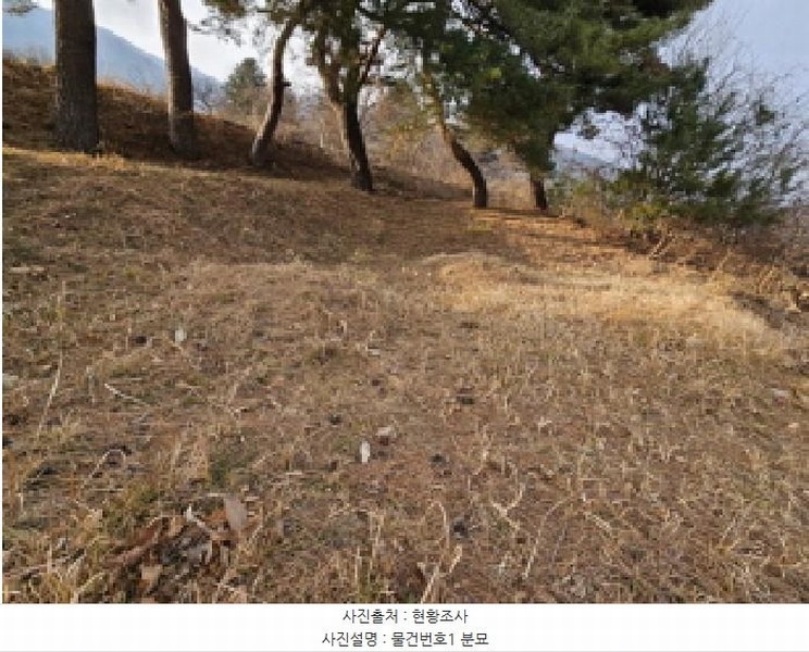 2024타경6693 경상남도 산청군 단성면 운리 산75-15 임야 경매 이미지