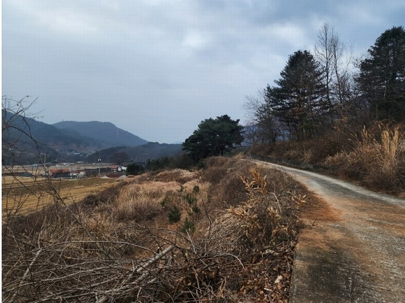 2024타경6693 경상남도 산청군 단성면 운리 산75-15 임야 경매 이미지