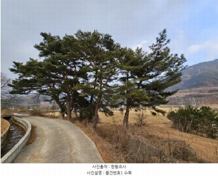 2024타경6693 경상남도 산청군 단성면 운리 산75-15 임야 경매 이미지