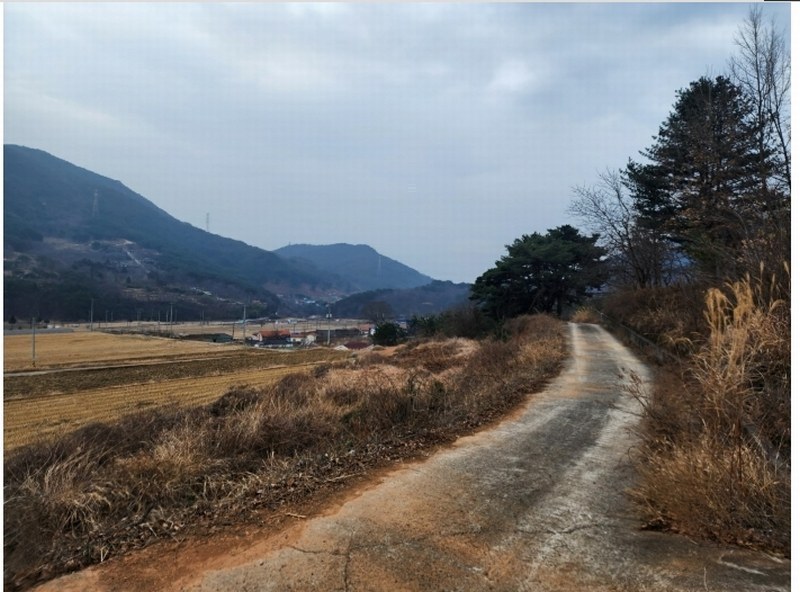 2024타경6693 경상남도 산청군 단성면 운리 산75-15 임야 경매 이미지