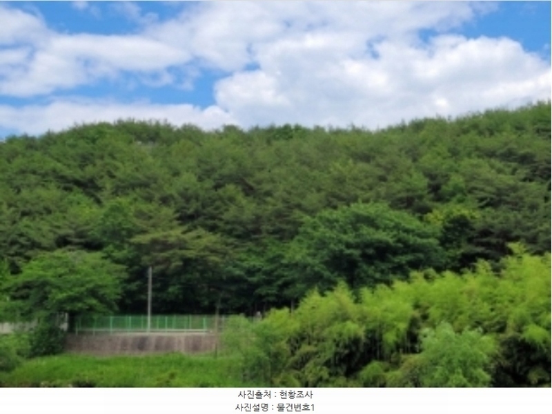 2024타경33602 경상남도 진주시 유곡동 산1-1 임야 경매 이미지