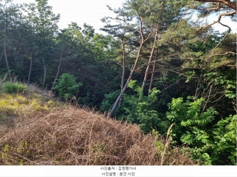 2024타경33602 경상남도 진주시 유곡동 산1-1 임야 경매 이미지