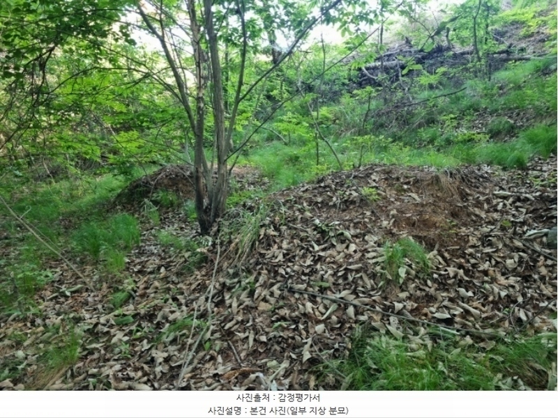 2024타경33602 경상남도 진주시 유곡동 산1-1 임야 경매 이미지