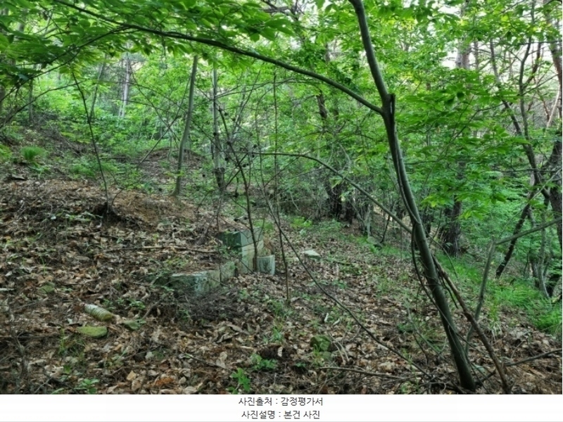 2024타경33602 경상남도 진주시 유곡동 산1-1 임야 경매 이미지