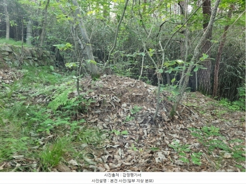 2024타경33602 경상남도 진주시 유곡동 산1-1 임야 경매 이미지