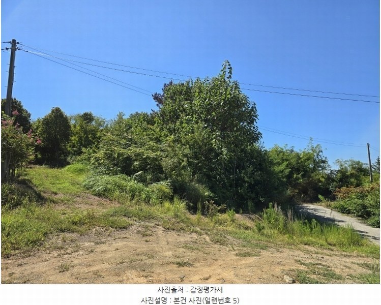 2024타경36885 경상남도 사천시 서포면 선전리 69-9 임야 경매 이미지