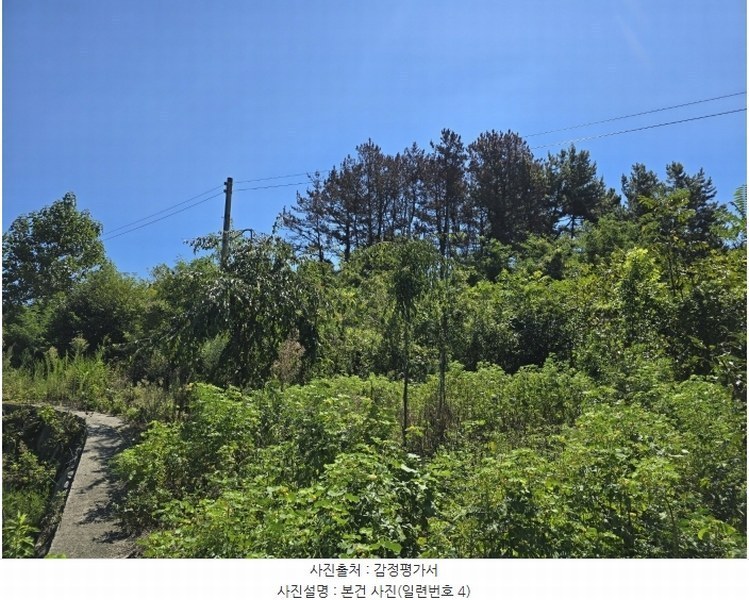 2024타경36885 경상남도 사천시 서포면 선전리 69-9 임야 경매 이미지