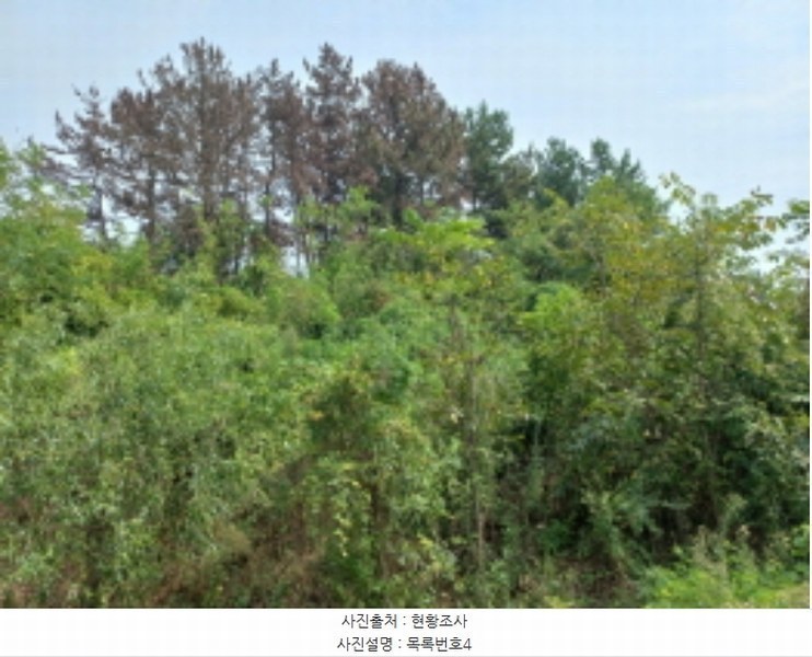 2024타경36885 경상남도 사천시 서포면 선전리 69-9 임야 경매 이미지