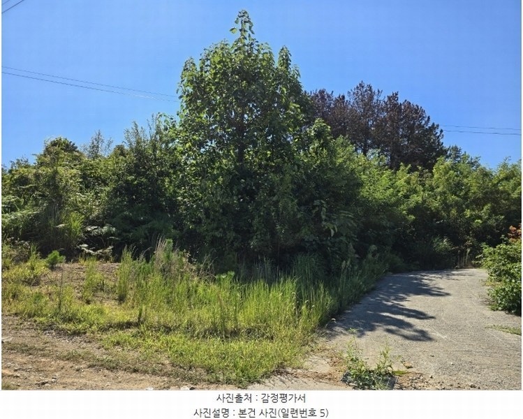 2024타경36885 경상남도 사천시 서포면 선전리 69-9 임야 경매 이미지