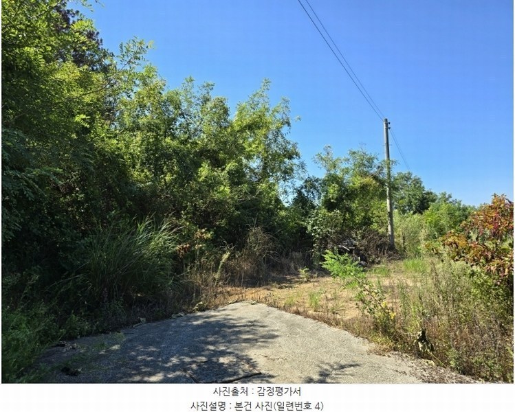 2024타경36885 경상남도 사천시 서포면 선전리 69-9 임야 경매 이미지