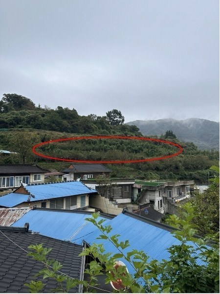 2024타경37413 경상남도 하동군 하동읍 두곡리 1000 과수원 경매 이미지