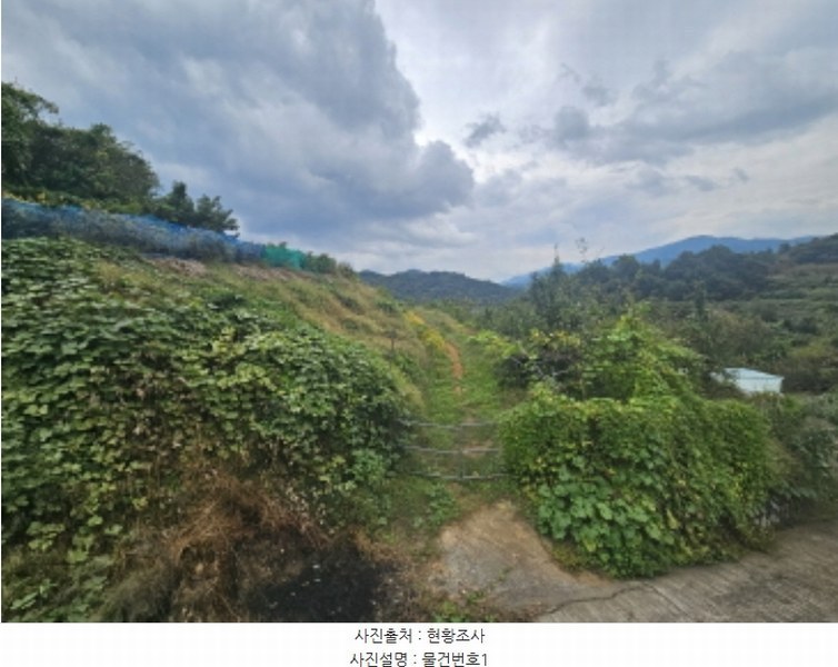 2024타경37413 경상남도 하동군 하동읍 두곡리 1000 과수원 경매 이미지