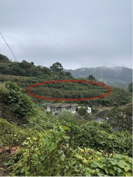 2024타경37413 경상남도 하동군 하동읍 두곡리 1000 과수원 경매 이미지