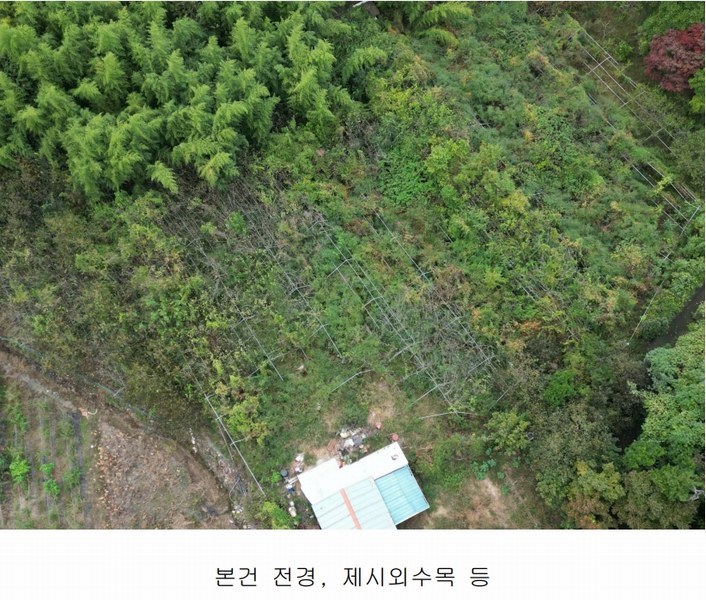 2024타경37819 경상남도 진주시 수곡면 창촌리 650 과수원 경매 이미지