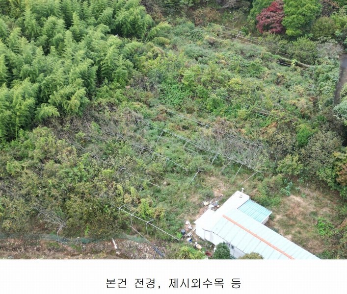 2024타경37819 경상남도 진주시 수곡면 창촌리 650 과수원 경매 이미지