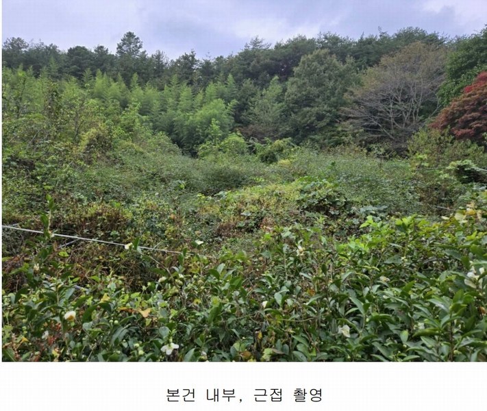 2024타경37819 경상남도 진주시 수곡면 창촌리 650 과수원 경매 이미지