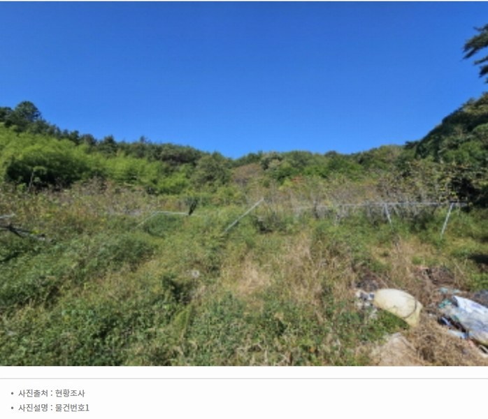 2024타경37819 경상남도 진주시 수곡면 창촌리 650 과수원 경매 이미지