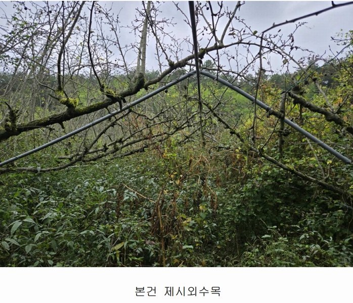2024타경37819 경상남도 진주시 수곡면 창촌리 650 과수원 경매 이미지