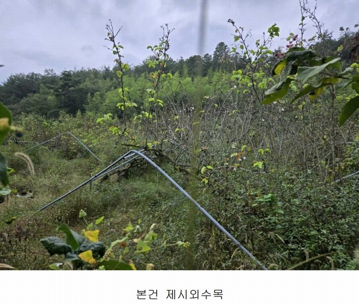 2024타경37819 경상남도 진주시 수곡면 창촌리 650 과수원 경매 이미지