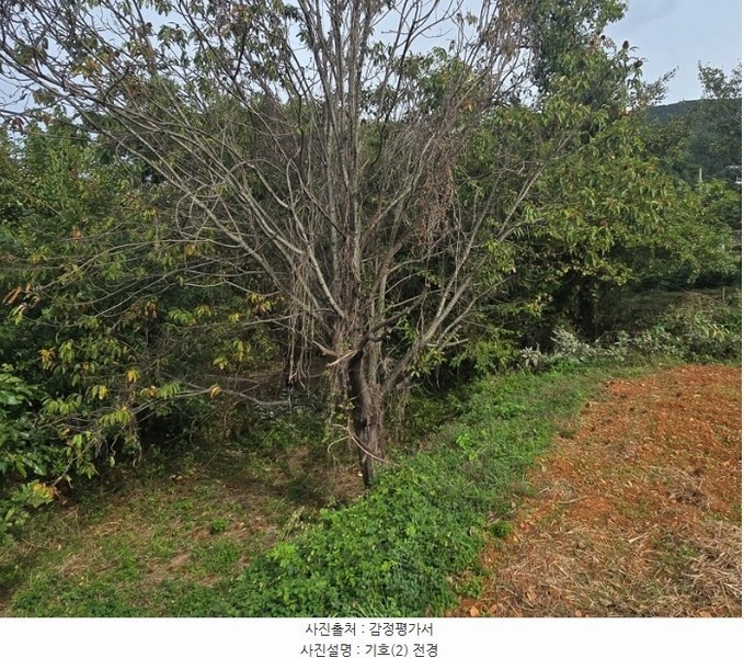 2024타경38249 경상남도 남해군 고현면 대사리 897 농지 경매 이미지