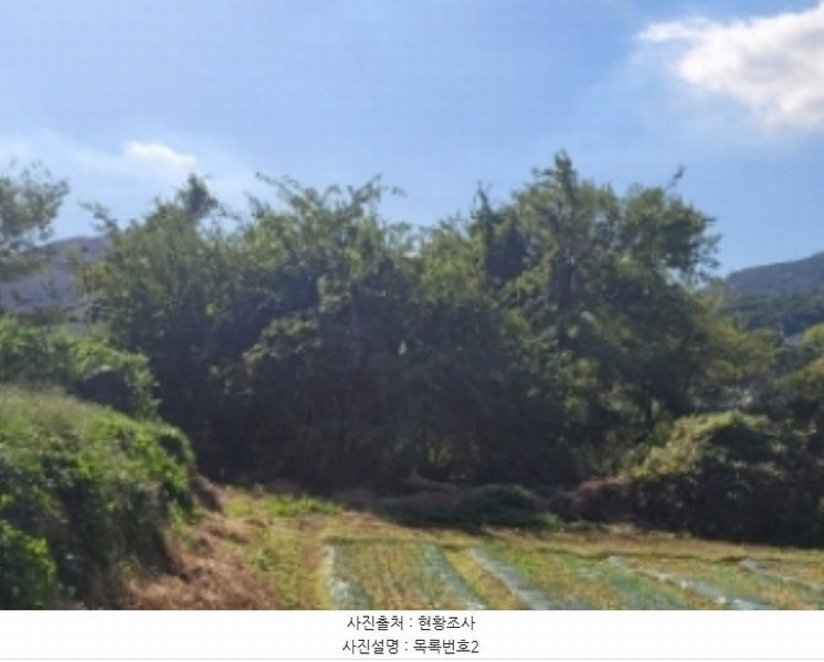 2024타경38249 경상남도 남해군 고현면 대사리 897 농지 경매 이미지