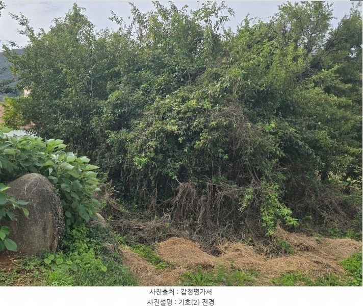 2024타경38249 경상남도 남해군 고현면 대사리 897 농지 경매 이미지