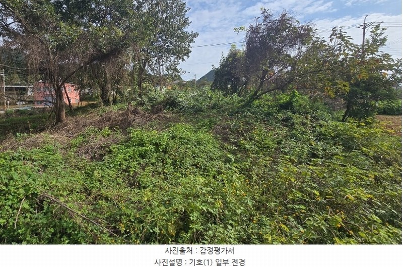 2024타경38249 경상남도 남해군 고현면 대사리 897 농지 경매 이미지
