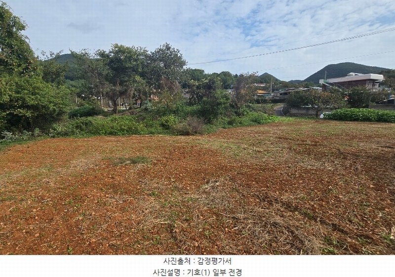 2024타경38249 경상남도 남해군 고현면 대사리 897 농지 경매 이미지
