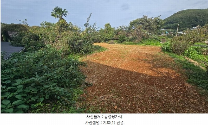 2024타경38249 경상남도 남해군 고현면 대사리 897 농지 경매 이미지