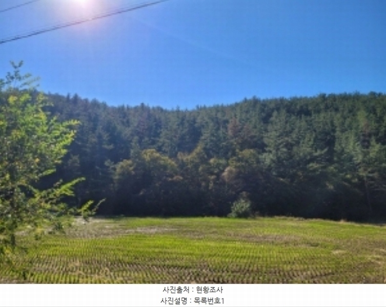 2024타경38652 경상남도 하동군 양보면 지례리 산22-3 임야 경매 이미지