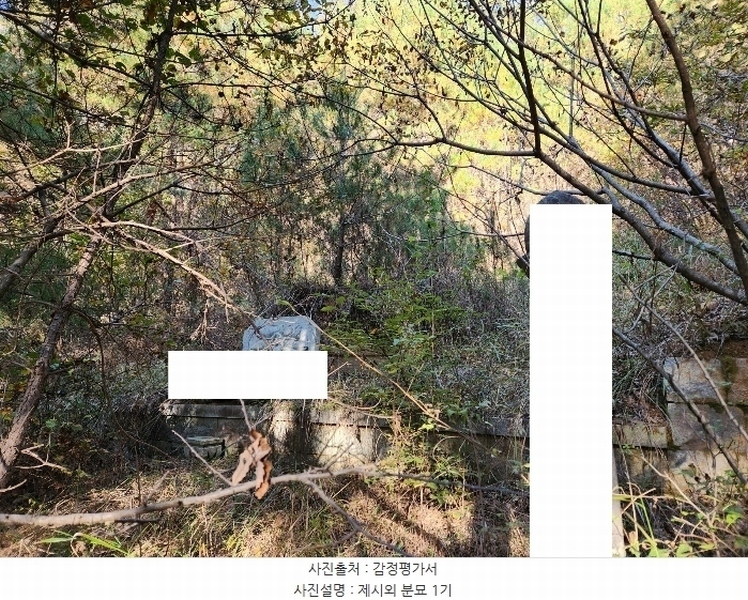 2024타경38713 경상남도 진주시 수곡면 효자리 산101-1 임야 경매 이미지