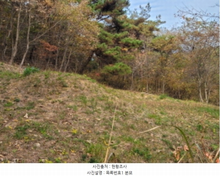 2024타경38713 경상남도 진주시 수곡면 효자리 산101-1 임야 경매 이미지