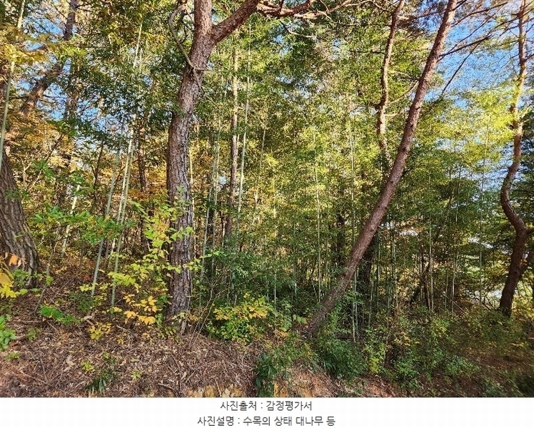2024타경38713 경상남도 진주시 수곡면 효자리 산101-1 임야 경매 이미지