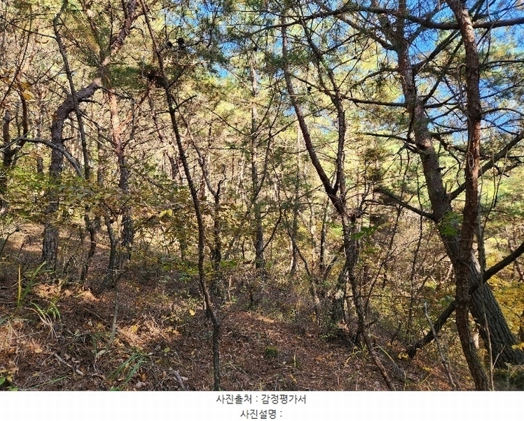 2024타경38713 경상남도 진주시 수곡면 효자리 산101-1 임야 경매 이미지