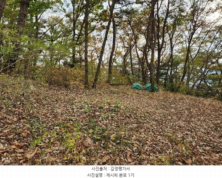 2024타경38713 경상남도 진주시 수곡면 효자리 산101-1 임야 경매 이미지