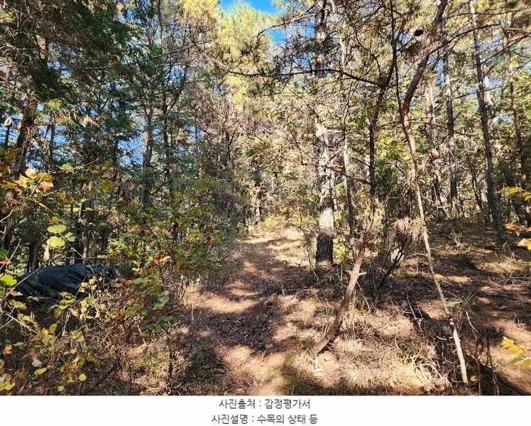 2024타경38713 경상남도 진주시 수곡면 효자리 산101-1 임야 경매 이미지